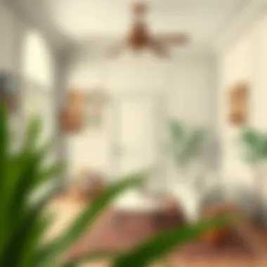 Example of a beautifully painted room