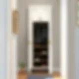 Elegant narrow hallway shoe cabinet with modern design