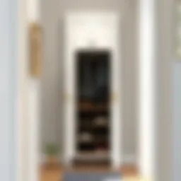 Elegant narrow hallway shoe cabinet with modern design