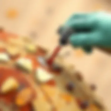 Homemade rust remover application