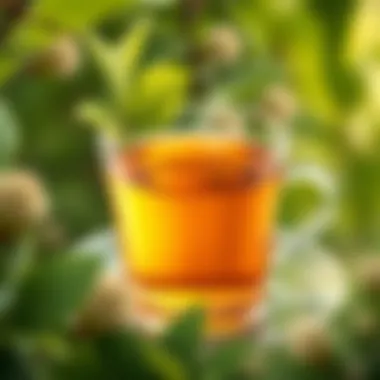 Nutritional benefits of linden tea