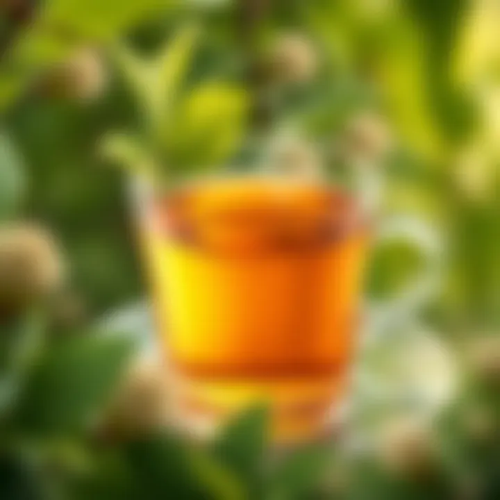 Nutritional benefits of linden tea