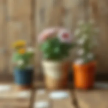 Care Guide for Winter Potted Flowers Detailed care instructions for winter potted flowers on a rustic background