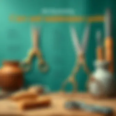 Care and Maintenance Guide Care and maintenance tips for scissors showcased in a visual guide.