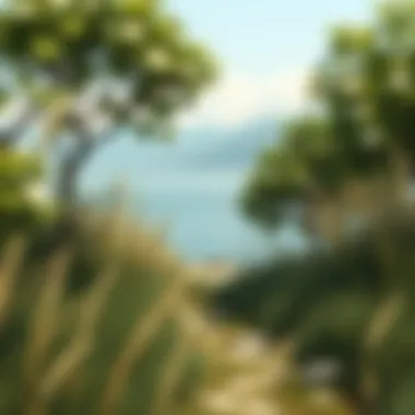 Tranquil nature scene symbolizing the harmony of a minimalist lifestyle