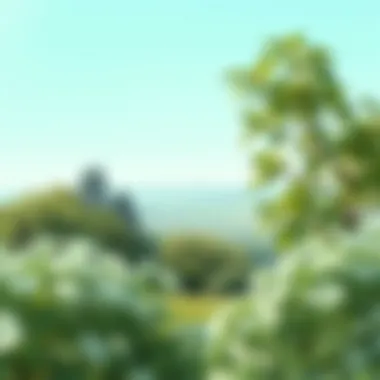 Nature's Serenity in Mint Green A serene mint green landscape showcasing nature's tranquility