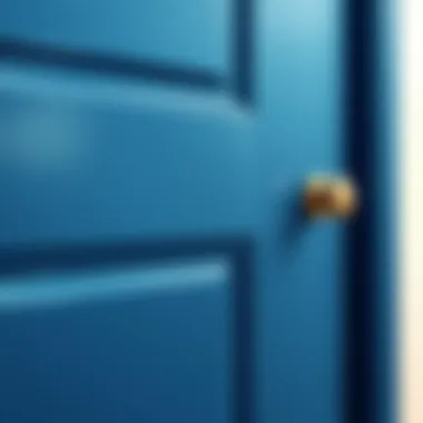 Close-Up of a Smooth Paint Finish on a Door Close-up of a door showcasing a smooth, professional paint finish.