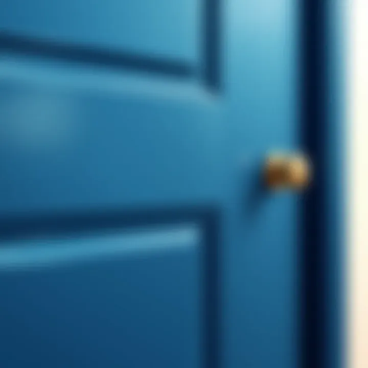 Close-Up of a Smooth Paint Finish on a Door Close-up of a door showcasing a smooth, professional paint finish.