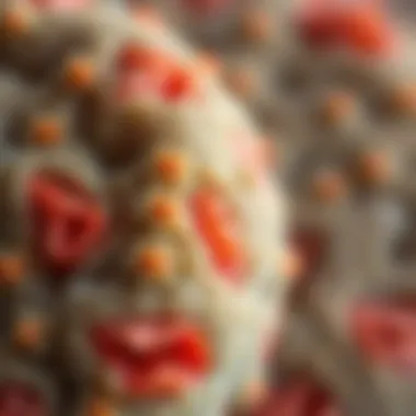 A close-up of turşu tozu, illustrating its texture and vibrant color.