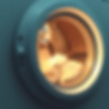 A clean washing machine interior showcasing freshness