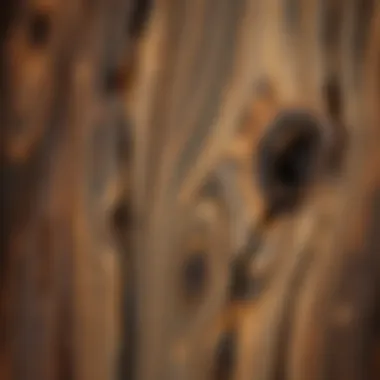 Close-up of wood texture enhanced by antiquing paint