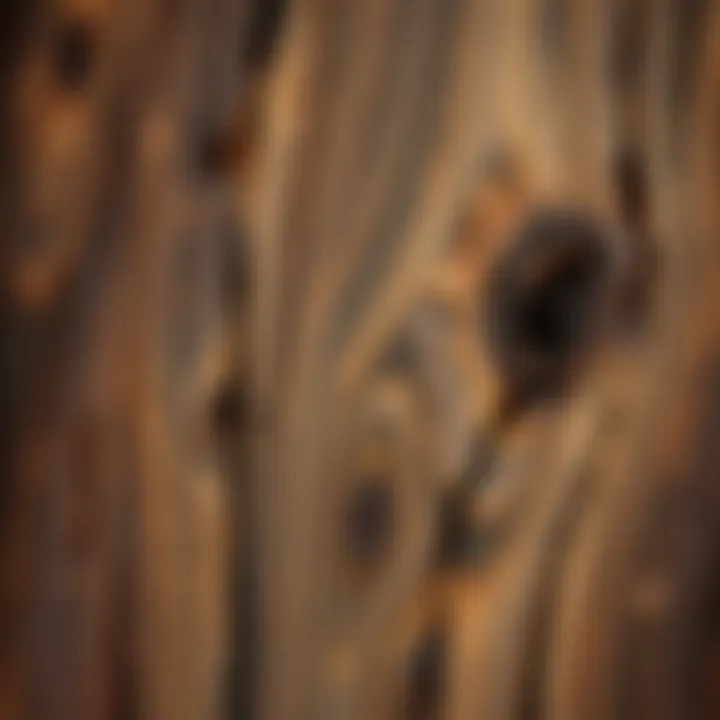Close-up of wood texture enhanced by antiquing paint